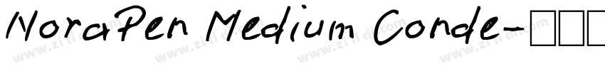 NoraPen Medium Conde字体转换